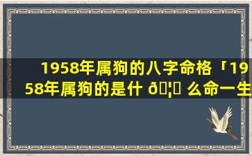 1958年属狗的八字命格「1958年属狗的是什 🦅 么命一生有个坎儿」